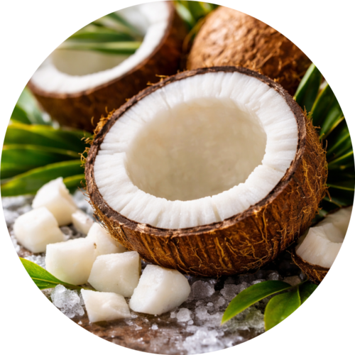 Coconut