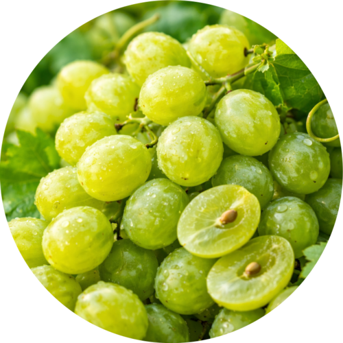Grapes